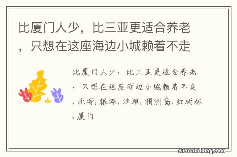 比厦门人少,比三亚更适合养老,只想在这座海边小城赖着不走