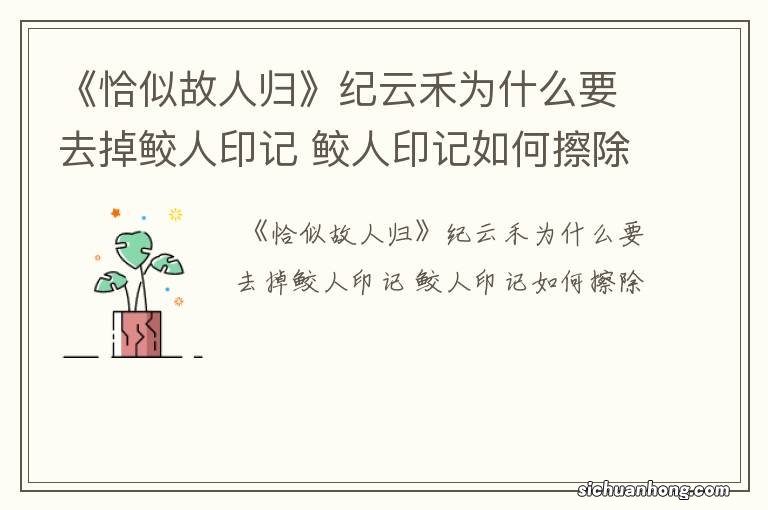 《恰似故人归》纪云禾为什么要去掉鲛人印记 鲛人印记如何擦除