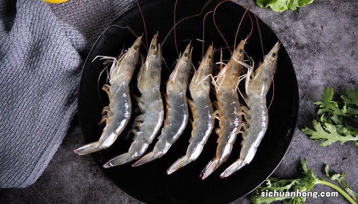 虾是靠什么活动的 虾类依靠什么呼吸