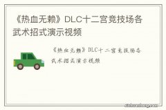 《热血无赖》DLC十二宫竞技场各武术招式演示视频