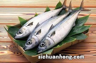 鱼的卵磷脂要煮多久才可以吃