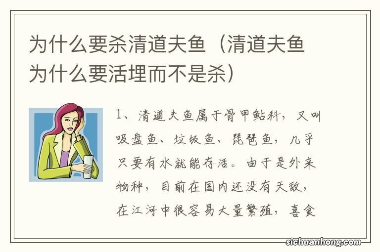 清道夫鱼为什么要活埋而不是杀 为什么要杀清道夫鱼