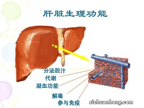 蛋白打多久