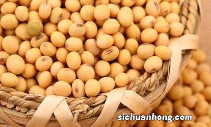 黄豆粉末可以治什么作用