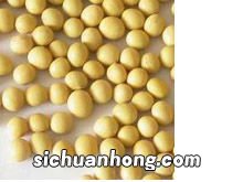 黄豆粉末可以治什么作用