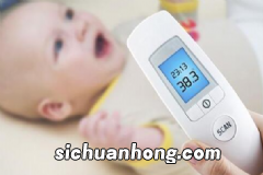 夏季如何饮食调理去湿气?夏季湿气重吃什么好?