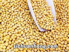 黄豆打粉后可以做什么