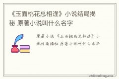 《玉面桃花总相逢》小说结局揭秘 原著小说叫什么名字