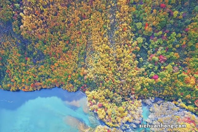川西赏秋最佳指南——松坪沟