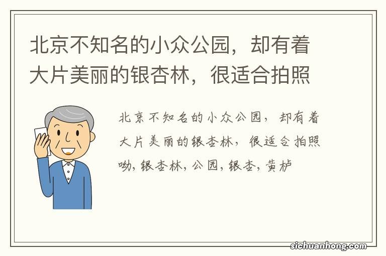 北京不知名的小众公园，却有着大片美丽的银杏林，很适合拍照呦