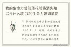 我的生命力曾如落花般将消失殆尽是什么歌 我的生命力曾如落花般将消失殆尽歌词介绍