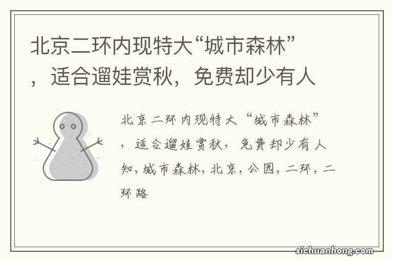 北京二环内现特大“城市森林”,适合遛娃赏秋,免费却少有人知