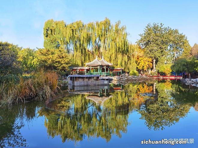 北京二环内现特大“城市森林”,适合遛娃赏秋,免费却少有人知