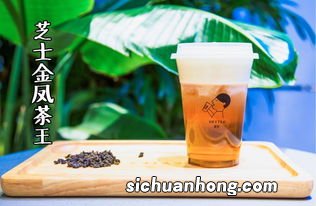 金凤是什么茶