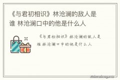 《与君初相识》林沧澜的敌人是谁 林沧澜口中的他是什么人