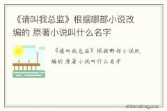 《请叫我总监》根据哪部小说改编的 原著小说叫什么名字