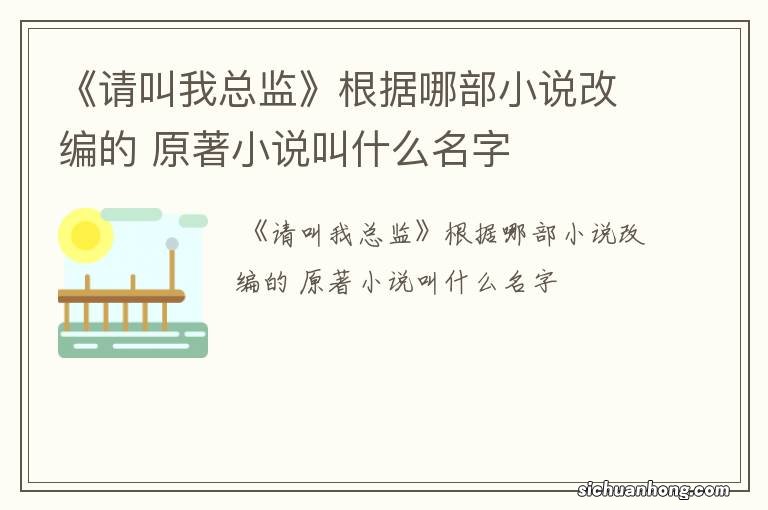 《请叫我总监》根据哪部小说改编的 原著小说叫什么名字