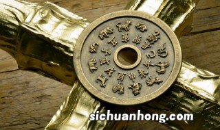 马和什么合得来 马和什么合