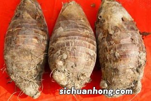 芋头放多久才粉