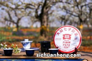 大益二代什么意思