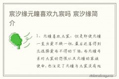 宸汐缘元瞳喜欢九宸吗 宸汐缘简介