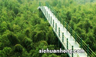 安吉旅游必去的景点 安吉旅游推荐的景点简述