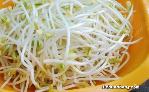 常吃豆芽好吗?豆芽的营养价值高吗?