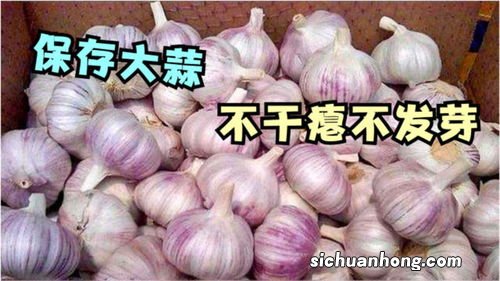 蒜头能放多久