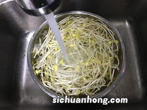 黄豆芽炒多久才熟