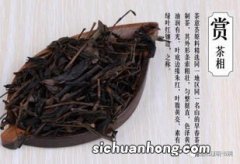 为什么岩茶全是茶梗