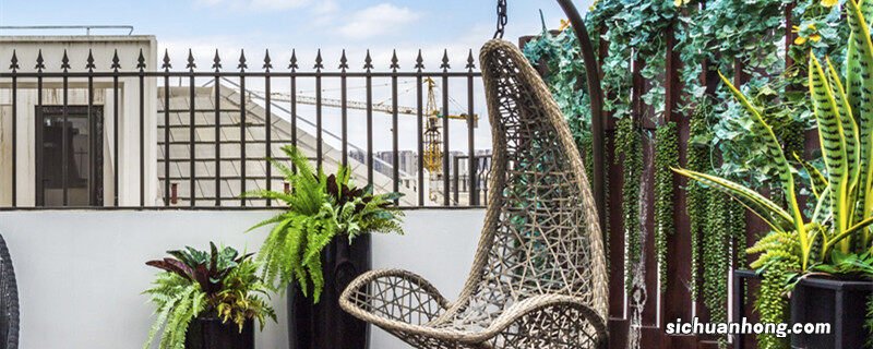 雀梅下山桩怎么能养活视频 雀梅下山桩怎么能养活