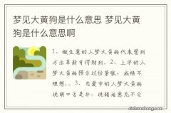 梦见大黄狗是什么意思 梦见大黄狗是什么意思啊