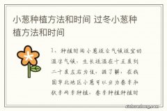 小葱种植方法和时间 过冬小葱种植方法和时间