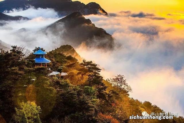 庐山枫叶红了！最美秋景渐入佳境！一入镜便是大片