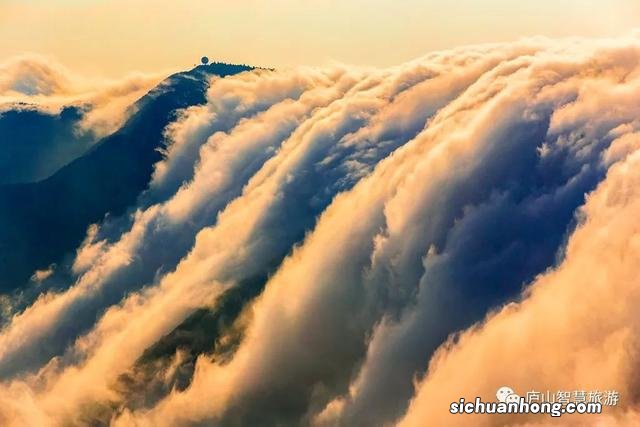 庐山枫叶红了！最美秋景渐入佳境！一入镜便是大片