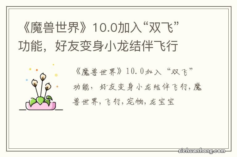 《魔兽世界》10.0加入“双飞”功能，好友变身小龙结伴飞行