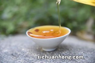 什么茶不容易饿