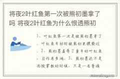 将夜2叶红鱼第一次被熊初墨拿了吗 将夜2叶红鱼为什么恨透熊初墨