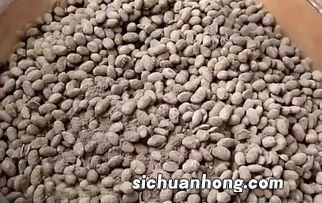 黄豆做手抓黄豆怎么做