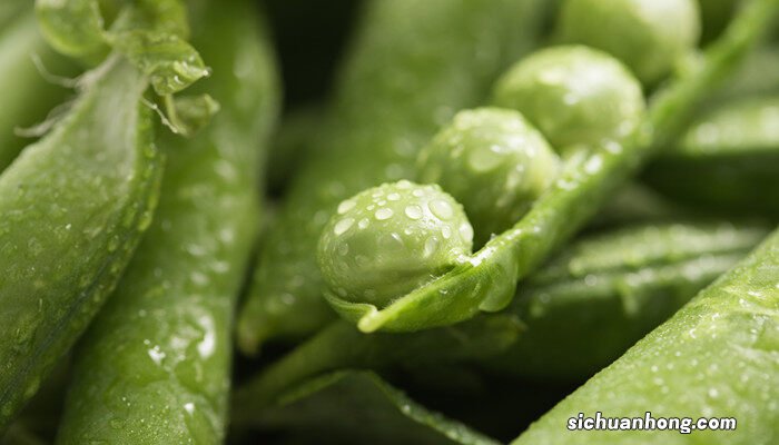 甜豆和豌豆的区别图片 甜豆和豌豆的区别