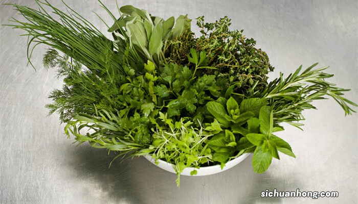 香草冰淇淋 香草是什么植物