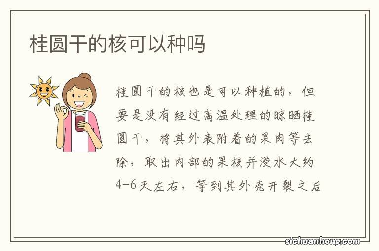 桂圆干的核可以种吗