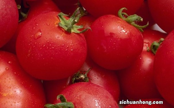 西红柿如何搭配更有营养?番茄搭配什么营养价值更高?