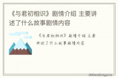 《与君初相识》剧情介绍 主要讲述了什么故事剧情内容