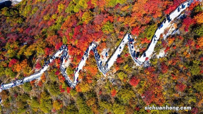 层林尽染秋韵浓 太行红叶遍山岗