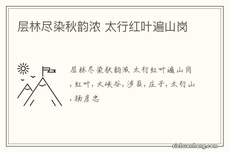 层林尽染秋韵浓 太行红叶遍山岗