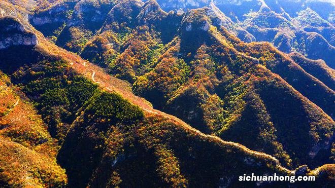 层林尽染秋韵浓 太行红叶遍山岗