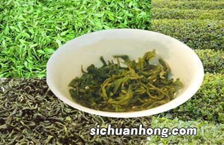 崂山茶为什么涩