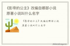 《影帝的公主》改编自哪部小说 原著小说叫什么名字