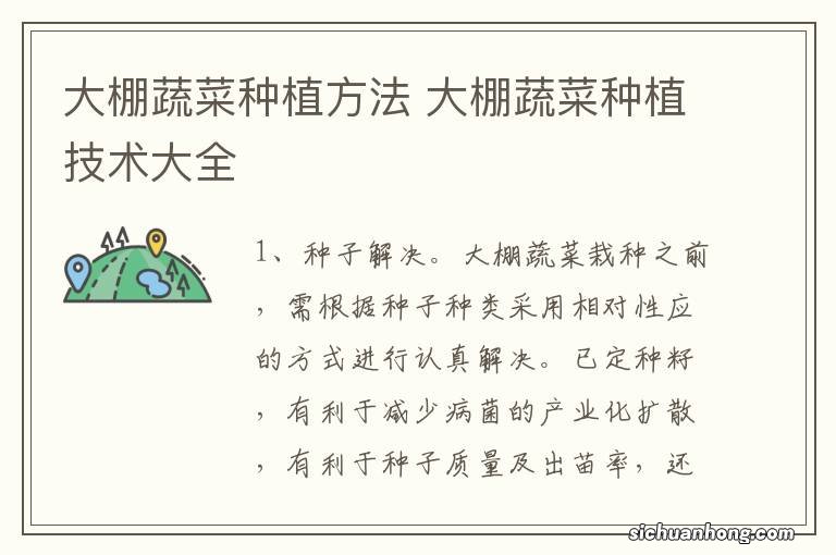大棚蔬菜种植方法 大棚蔬菜种植技术大全